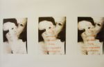 Louise Garman Sticks and Stones 