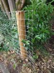 Worsley Footpath re-opened by the phantom fence avenger
