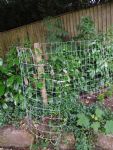 Worsley Footpath re-opened by the phantom fence avenger