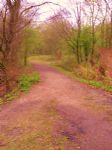 Kersal Dale Health Walk
